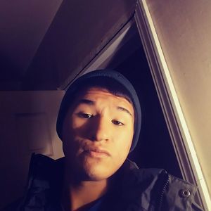 Meet your Posher, Harley